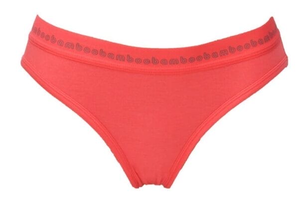 This is a photograph of Bamboo Clothing, Women's Bamboo Bikini Knickers, available from Bamboo Creations Victoria