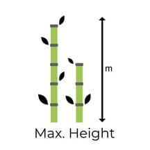 Bamboo of all types from Bamboo Creations Victoria