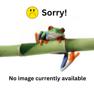 Bamboo Creations Victoria frog mascot with the text "Sorry, no image currently available"